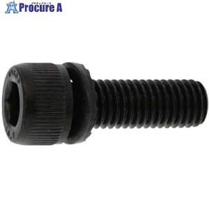 SUNCO 10.9GT-S CAP 6 X 20 (20�{��) A0-00-9S00-0060-0200-00-20 1�p�b�N ����372-7700 �y�����s�x���ρz