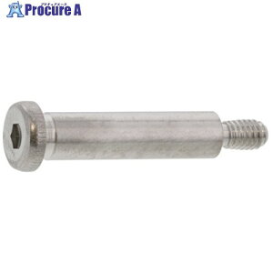 SUNCO �X�e�����X �ᓪ�V�����_�[BT 10×10 (50�{��) A0-02-6L00-0100-0100-00 1�� ����241-3968 �y�����s�x���ρz