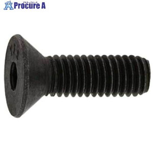 SUNCO SUS�T��CAP(UNC #8-32×3/8 (10�{��) A0-02-2030-7080-8030-00-10 1�p�b�N ����370-6764 �y�����s�x���ρz