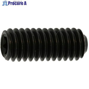 SUNCO TOR×-HS(�N�{�~ 4×10 (80�{��) A0-00-T500-0040-0100-00-80 1�p�b�N ����371-2825 �y�����s�x���ρz