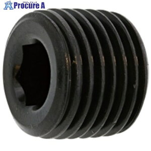 SUNCO SUS�v���OA(���� PT 1/4 (5�{��) A0-02-5700-8020-0000-00-5 1�p�b�N ����371-3186 �y�����s�x���ρz