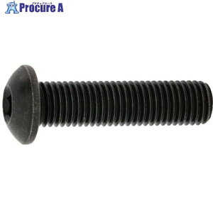 SUNCO SUS�{�^��CAP(UNF5/16-24X1�h(1�{��) A0-02-1040-8025-8100-00-1 1�p�b�N ����373-2016 �y�����s�x���ρz