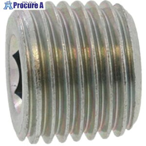 SUNCO SUS�㑺�v���O(���� R3/8-19 (1�{��) A0-02-5600-8030-0000-00-1 1�p�b�N ����373-2563 �y�����s�x���ρz