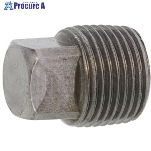 SUNCO 316L �v���O(�l�p�� 1/4 (200�{��) A0-12-5720-8020-0000-00 1�� ����243-3551 �y�����s�x���ρz