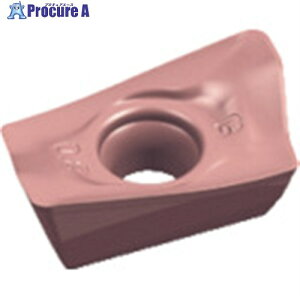 Walter �~�[�����O���H�p �Ђ��`�|�W�`�b�v WXN15 ADHT1606PER-G88 WXN15 10�� ����826-1500 �y�����s�x���ρz ��O585