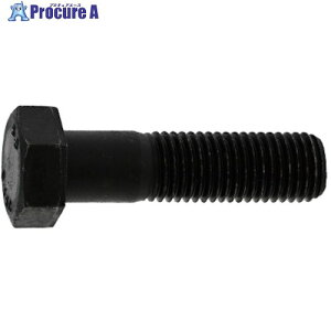 SUNCO 8.8 �Z�p�{���g ���l�W 22X80 (20�{��) B0-00-0310-0220-0800-00 1�� ����254-3050 �y�����s�x���ρz