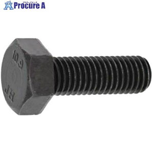 SUNCO ������ 10.9 �Z�p�{���g SCM435 (JH 10X25 (100�{��) B0-00-U400-0100-0250-00 1�� ����254-4846 �y�����s�x���ρz