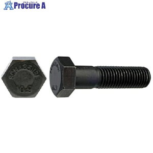 SUNCO ���j�N�� 10.9 �Z�p�{���g NBI 24X45 (20�{��) B0-00-B400-0240-0450-01 1�� ����255-1423 �y�����s�x���ρz