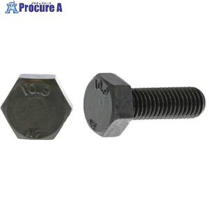SUNCO ���t�� 10.9 �Z�p�{���g ���{�t�@�X�i�[�� 10X20 (100�{��) B0-00-F400-0100-0200-45 1�� ����255-1441 �y�����s�x���ρz