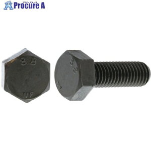 SUNCO �O���z���C�g 8.8 �Z�p�{���g ���{�t�@�X�i�[�� 20X45 (30�{��) B0-00-F300-0200-0450-03 1�� ����255-1808 �y�����s�x���ρz