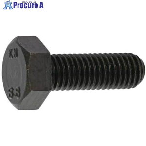 SUNCO �O���z���C�g 8.8 �Z�p�{���g �S�l�W 10X90 (1�{��) B0-00-0300-0100-0900-03-1P 1�p�b�N ����452-4714 �y�����s�x���ρz
