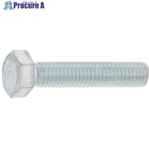 SUNCO ���j�N�� 10.9 �Z�p�{���g �S�l�W 14X100 (1�{��) B0-00-0450-0140-1000-01-1P 1�� ����459-6623 �y�����s�x���ρz