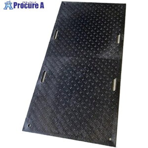 �E�b�h�v���X�`�b�N �H���p�~�� W�{�[�h �Жʓ� �J���[:�� 910mm×1820mm(������4) B0918-15-BK-M4K4 1�� ����437-3439