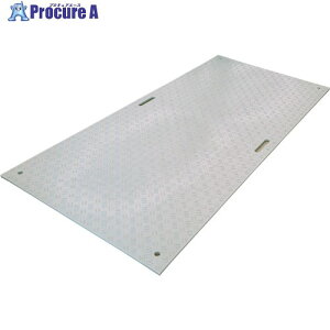 �E�b�h�v���X�`�b�N �H���p�~�� W�{�[�h ���ʓ� �J���[:�D 1219mm×2438mm(������4) B1224-20-GY-M4K4 1�� ����437-3466