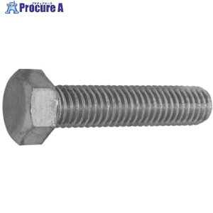 SUNCO SUS ���`�Z�p�{���g �S�˂� B��17 12X20 (1�{��) B0-02-0500-0120-0200-00-1P 1�� ����454-5950 �y�����s�x���ρz