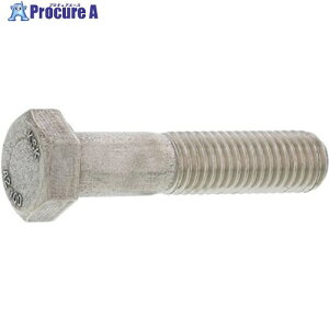 SUNCO A2-100 �Z�p�{���g ���˂� 20X60 (1�{��) B0-02-A610-0200-0600-00-1P 1�� ����456-1703 �y�����s�x���ρz