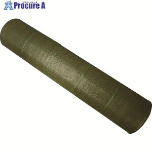 ���C�h�N���X �h���V-�g BG1515-2X100 �O���[�� BG1515-2X100 1�{ ����756-1407 ���ԏ�n��