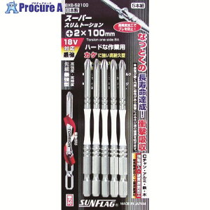 �T���t���b�O �i�t�X�����g�[�V�����r�b�g #2X100 (5�{��) BXB-52100 1�p�b�N ��446-1517