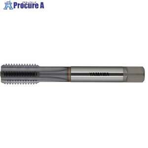 ���}�� Z-PRO �����p�X�g���[�g�^�b�v �N�[���z�[�� CAST CH P3 M10X1 1.5P CAST-CH-P3-M10X1-1.5P 1�{ ����661-6276 �y�����s�x���ρz ��MA515