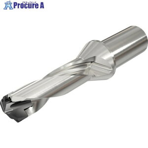 �C�X�J�� �X���E�J�� �w�b�h�������h�����{�f�B(�~���V�����N)3D DCN 320-096-32R-3D 1�{ ����111-2642 �y�����s�x���ρz ��O585
