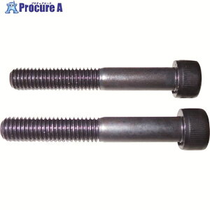HASCO CP-93DX-19 �L���b�v�X�N�����[ M8X55L(2�P1�Z�b�g) CP-93DX-19 1�� ����159-3058 �y�����s�x���ρz