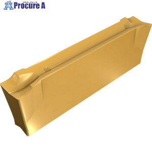�C�X�J�� �h�D�[�O���b�v �˂��؂���H�p�`�b�v DGN/DGNM-J/JS/JT IC1010 DGN 3102J IC1010 10�� ��199-6113 ��O585