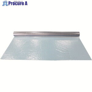 �e�n �����蓧���h���ϊ��V�[�g��205cm×����10m CSWS3205010IT 1�� ����249-8179 �y�����s�x���ρz���ԏ�n��