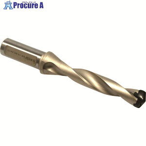 �C�X�J�� �J���h�����W�F�b�g DSM 100-030-16A-3D 1�� ����338-5621 �y�����s�x���ρz ��O585