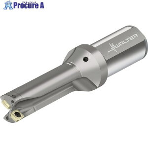 Walter �`�b�v�������h���� D3120 D3120-03-42.00F40-P25 1�{ ����411-1059 �y�����s�x���ρz ��O585