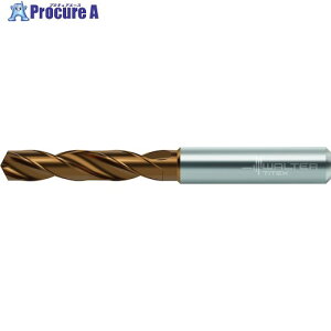 Titex ���d�c�C�X�g�h���� DC160-03-04.600A0-WJ30ET 1�{ ����411-1665 �y�����s�x���ρz ��O585