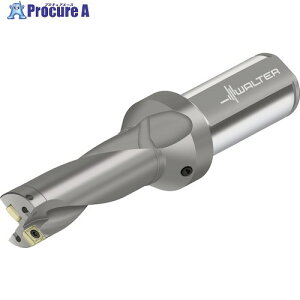 Walter �`�b�v�������h���� D4120 D4120-03-17.00F25-P42 1�{ ����411-4170 �y�����s�x���ρz ��O585