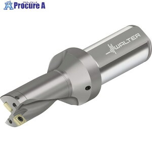 Walter �`�b�v�������h���� D4120 D4120-02-20.00F25-P42 1�{ ����412-3610 �y�����s�x���ρz ��O585
