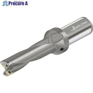 Walter �`�b�v�������h���� D4120 D4120-04-20.00F25-P42 1�{ ����412-6865 �y�����s�x���ρz ��O585
