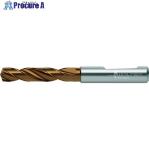 Titex ���d�c�C�X�g�h���� DC160-03-17.000F0-WJ30ET 1�{ ����412-9002 �y�����s�x���ρz ��O585