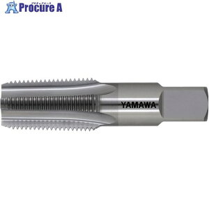 ���}�� �Ǘp�e�[�p�˂��p���S�p���d�n���h�^�b�v���˂��` CT-PT 1/16-28 CT-PT-1/16-28 1�{ ��608-6228 ��MA515