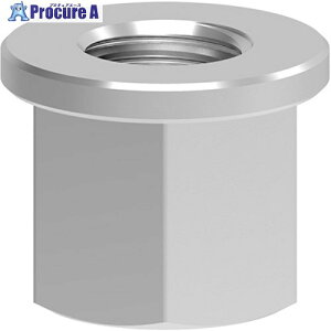 RUD �t�����W�t���i�b�g �t�����W�i�b�g(�����T�������ύ���Mx1.5) COLLARNUTM52 1�� ����694-4395