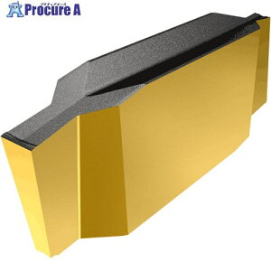 �C�X�J�� �J�b�g�O���b�v �`�b�v GIP IC807 GIP 1.04-0.00 IC807 10�� ����111-9795 �y�����s�x���ρz ��O585