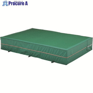 �g�[�G�C���C�g �����O���p�G�o�[�}�b�g ������(�J�o�[)�̂�200×300×50cm G1553A 1�� ����207-7767 �y�����s�x���ρz
