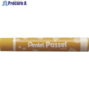 PENTEL �p�b�Z�� �P�F �����ǂ��� R GHPAT06R 10�� ����248-0043 �y�����s�x���ρz