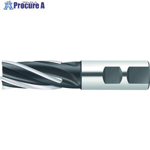 Walter �낤�t���w���J���a���G���h�~�� F1678.W.025.Z04.50.K 1�� ����412-1747 �y�����s�x���ρz ��O585