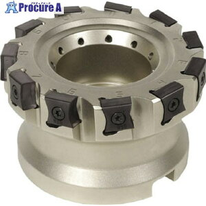 �C�X�J�� �^���O�~�� �t�F�[�X�~�� F90LN-N15 F90LN D200-12-60-R-N15 1�� ����623-1446 �y�����s�x���ρz ��O585