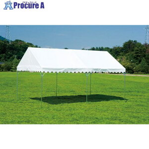 �g�[�G�C���C�g �W��e���gBTE2040 G1989 1�� ����696-5486 �y�����s�x���ρz