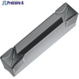 Walter �a����`�b�v WSM33S GX24-2E300N03-GD6 WSM33S 10�� ����802-4211 �y�����s�x���ρz ��O585