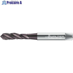Prototyp �}�V���^�b�v EP2351302-UNF6 1�� ����802-8437 �y�����s�x���ρz ��O585