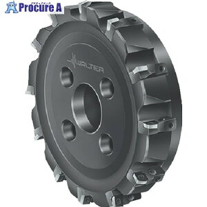 Walter �J�[�g���b�W�t���t�F�[�X�~�� F2010.B.100.Z07.09.R500M 1�� ����803-5084 �y�����s�x���ρz ��O585