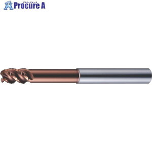 MOLDINO �G�|�b�N �~���X �^�C�vN EMXN4120-60-20-TH EMXN4120-60-20-TH 1�{ ����815-2421 �y�����s�x���ρz