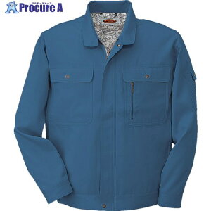 �R�[�R�X �u���]��H-1190 6 �u���[ LL H-1190-6-LL 1�� ����854-3031 �y�����s�x���ρz