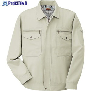 �R�[�R�X �u���]��H-1191 5 �A�C�{���[5L H-1191-5-5L 1�� ����854-3060 �y�����s�x���ρz