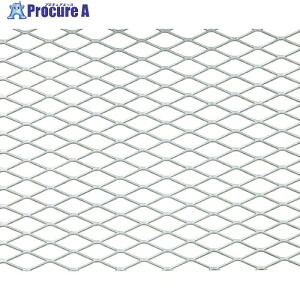 OKUTANI �X�e�����X�G�L�X�p���h���^�� X-31 1000×1000 EX-SUS-X31-T1.2-1000X1000 1�� ����856-1462