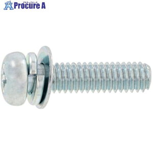 SUNCO �g���݂˂� (�{)�i�xP��4(�S(�܂��͕W��)�E�N�����[�g) M4×60(�S�˂�)(300�{��) 10-00-0004-0040-0600-02 1�� ����262-4351 �y�����s�x���ρz